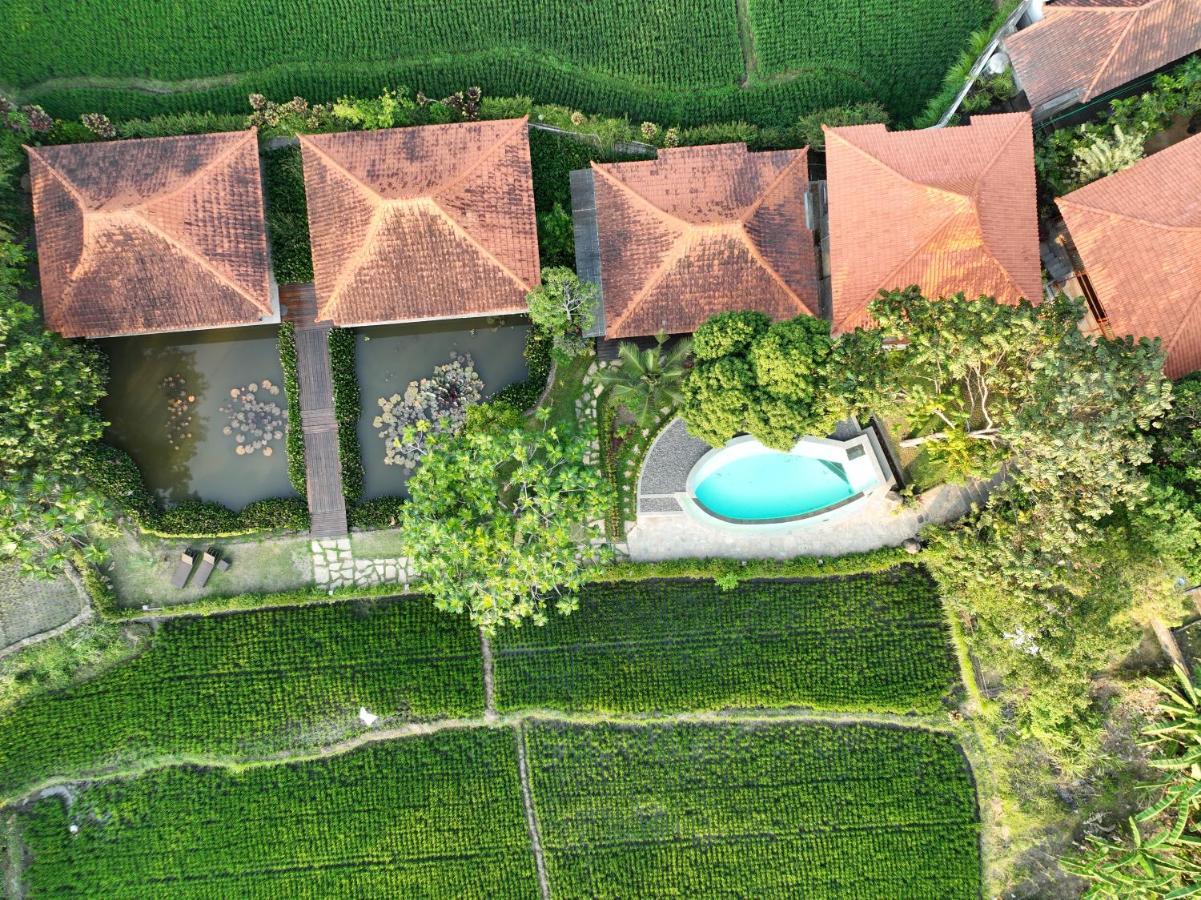 Griya Kcb Villa Ubud  Exterior photo