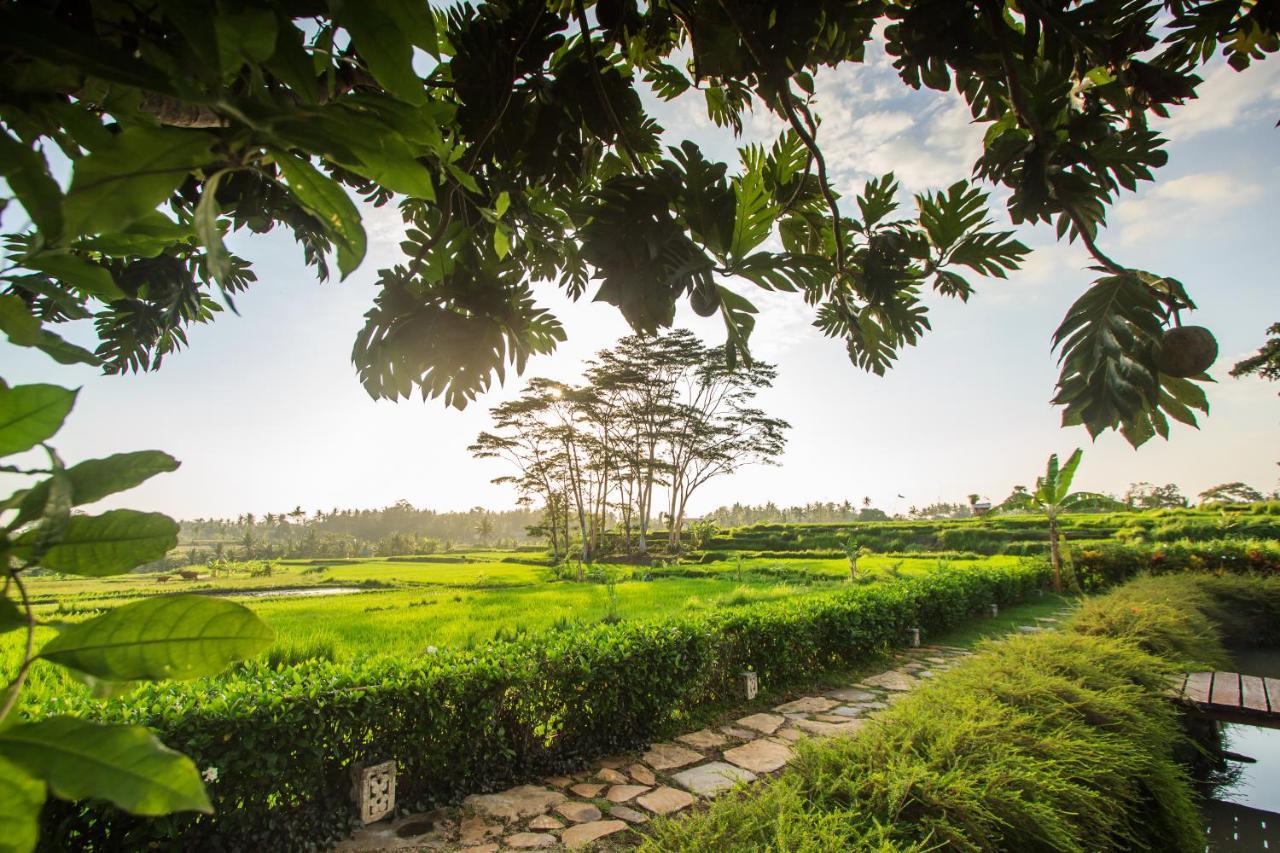Griya Kcb Villa Ubud  Exterior photo