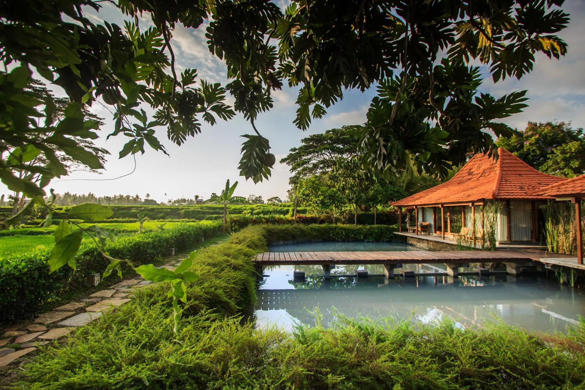 Griya Kcb Villa Ubud  Exterior photo